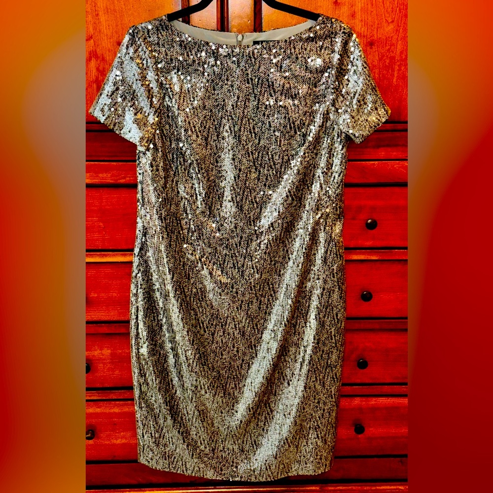 Beautiful Ralph Lauren Dress - new without tag.